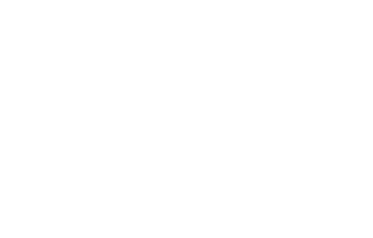 logo temu